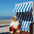 Daphne Bellucci im Strandkorb