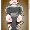 Der Maskierte